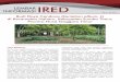 IRED - World Agroforestry Centreold.worldagroforestry.org/downloads/Publications/PDFS/LE17113.pdf · a). Pilih bibit tanaman dengan ketinggian >30 cm dari permukaan tanah di polibag
