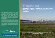 Biomethane - About Task 37 - IEA Bioenergy Task 37 · 2014-09-13 · 3.4.1. Biomethane via upgraded biogas 39 3.4.2. Biomethane via gasification and methanation 42 3.5. A practical