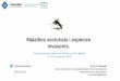 Malalties vectorials i espècies invasores.lincc.uib.eu/wp-content/uploads/PPT_Jornades_PDF/S3---Miguel-Miranda.pdf · movimientos de poblaciones, la rápida urbanización poco planificada