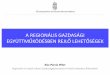 A REGIONÁLIS GAZDASÁGI · Eddigi előrehaladás: Magyarország Csehország után másodikként megkezdte a megvalósíthatósági tanulmány elkészítését • A közbeszerzési