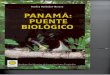 bdigital.binal.ac.pabdigital.binal.ac.pa/bdp/artpma/peces.pdf · 2008-12-29 · del puente terrestre panameño hace 3 mi- Ilones de años. Los peces secundarios toleran ciertos nive-