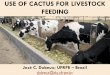 USE OF CACTUS FOR LIVESTOCK FEEDING - Feedipedia · USE OF CACTUS FOR LIVESTOCK FEEDING ... Cactus is rich in soluble carbohydrates, thus, avoid adding molasses and limit the amount