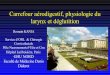 Carrefour aérodigestif, physiologie du larynx et déglutitionjulioone.free.fr/Deglutition et physiologie du larynx.pdf · Carrefour aérodigestif, physiologie du larynx et déglutition
