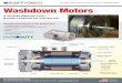 Washdown Motors - Home - Bluffton Motor Worksblmworks.com/pdf/bm-Washdown-Specs-ts-update-CP.pdfBluffton Motor Works 410 East Spring Street, Bluffton, IN 46714 • (800) 579-8527 •