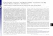 Kisspeptin neurons mediate reﬂex ovulation in the …Kisspeptin neurons mediate reﬂex ovulation in the musk shrew (Suncus murinus) Naoko Inouea,1, Karin Sasagawaa, Kotaro Ikaia,
