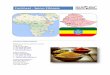 Factsheet - Spices Ethiopia - NABC.nl ABSF... · 2014-04-01 · 6 Spices grown in Ethiopia Due to the varied topography and climate, Ethiopia is home to different plants species that