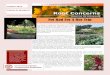 Root Concerns...Root Concerns An E-mail Gardening Newsletter from Cornell Cooperative Extension of Rensselaer, Albany and Schenectady Counties October 2013 According to Oprah, lots