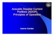 Acoustic Doppler Current Profilers (ADCP) Principles of Operationportal.mrcmekong.org/.../IwonaConlan_ADCP_principles.pdf · 2 What is an ADCP? Acoustic Doppler Current Profiler Each