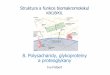 KBC/BPOL. Polysacharidy.pdf · 2016-02-25 · Glykoproteiny buněčného povrchu Rozvětvené struktury sacharidů slouží jako rozpoznávací element při protein-protein interakci