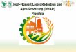 Post-Harvest Losses Reduction and Agro-Processing (PHAP ... · • Guarantees export promotion and import substitution PHAP PHAP PHAP Flagship Launch- 21/11/2017 6. The Objectives: