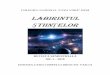 LABIRINTULcncvhusi.ro/wp-content/uploads/2019/04/LS5.pdfLaika, pilotul canin al navei Sputnik 2 şi a murit în 1957 după ce i s-a terminat rezerva de oxigen. 45. O stea şi mai mare