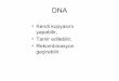 DNAesaglikonline.com/E-Saglik Online/Genetik/Dna; Rna... · 2017-04-28 · 6 farklı ökaryotik DNA polimeraz vardır DNA polimeraz α, δ (delta) ve ε ökaryotik çekirdek DNA’sı