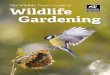 Wildlife... · Hedgehogs, sparrows, song thrushes and stag beetles are all declining species in the UK. If we manage our gardens for wildlife, these creatures and many more will feel