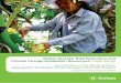 Oxfam Disaster Risk Reduction and Climate Change ......Oxfam Disaster Risk Reduction and Climate Change Adaptation Resources: Case Study Jasmine Rice in the Weeping Plain: Adapting