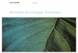 Scotia Ecology Survey - Santos...AECOM Scotia Ecology Survey \\bne-fs1.au.aecomnet.com\jobs\Jobs\42627591\5 WIP\Report\Scotia Ecology Survey_ 040316_Rev 1.docx Revision 1 – 04-Mar-2016