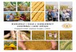 KUKURUZ | SOJA | SUNCOKRET katalog proljeće 2020..pdf · U zadnjih 5 - 6 godina kukuruz se sije za 7 - 10 dana ranije od uobičajenih rokova pa je ranija sjetva postala pravilo,