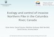 Ecology and control of invasive Northern Pike in the ... Wednesday PM Session B/400_Heise.pdf · Ecology and control of invasive Northern Pike in the Columbia River, Canada Brian