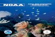 NOAA CORAL REEF ECOSYSTEM RESEARCH PLAN · NOAA Coral Reef Ecosystem Research Plan Introduction Coral reef ecosystems are highly valued for their biological, ecological, cultural,