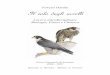 Il volo degli uccelli - STSBC Fortesti - Il volo degli uccelli.pdfIl volo degli uccelli Prefazione Con questo lavoro di maturità intendo presentare al lettore il volo degli uccelli