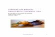 Collecting Low Balances: Squeezing the Toothpaste Tube · Collecting Low Balances: Squeezing the Toothpaste Tube By Jeff Means and Peter Angerhofer Colburn Hill Group January, 2017