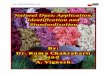 Natural Dyes: Application, Identification and …... ¾ Growing use of natural dyes in home craft works. ¾ Chemical characterization of colourant in flora and fauna. ¾ Replacement