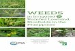 WEEDS...iii Weeds in Irrigated and Rainfed Lowland Ricefields in the Philippines Dindo King M. Donayre Edwin C. Martin Salvacion E. Santiago Crop Protection Division Philippine Rice