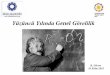 YüzüncüYılında Genel GörelilikKOZMOLOJİ • Einstein’ınstatik evreni (1917) • Friedmann (1922) ( Robertson-Walker, Lemaȋtre) • Hubble (1929) → Homojen, izotrop, genişleyenevren