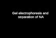 Agarose Gel Electrophoresis - uniba.sk · Agarose Gel Electrophoresis Gel electrophoresis is a widely used technique for the analysis of nucleic acids and proteins. Agarose gel electrophoresis