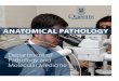 ANATOMICAL PATHOLOGY - Queen's School of Medicine Brochures 2017... · Pathology and Molecular Medicine at Queen’sis one of Canada’s leading pathology research centres. Residents