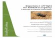 Importance of Flight for habitat occupancy2 Introduction Insects were one of the first animals to invade land some 400 million years ago which created many new opportunities for insects