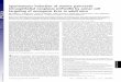 Spontaneous induction of murine pancreatic intraepithelial ... · ment, it is desirable to recapitulate this scenario in the context of murine pancreatic neoplasia. In a recent study,
