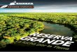 La Reserva Grande - Aberturas Alivenendepa.org.ar/contenido/informe-reserva.pdf · los ríos Teuco, el Bermejo y atrave-sado por el Bermejito. Dentro del Impenetrable, existe un territorio