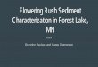 Flowering Rush Sediment Characterization in Forest …...through asexual rhizomatic fracturing. Diploid species are also capable of asexual reproduction (Parkinson, 2010). The individuals