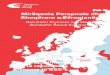 Mirëqenia Personale dhe Shoqërore e Evropianëve...Seritë e raportimeve të rezultateve kryesore të SSE-s Mirëqenia Personale dhe Shoqërore e Evropianëve Rezultatet Kryesore