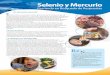 SELENIO Y MERCURIO 1net-effects.und.edu/pdfs/spanish/Selenium-Mercury.pdf · Title: SELENIO Y MERCURIO 1 Created Date: 10/28/2016 1:13:02 PM