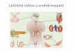 Léčebná výživa u endokrinopatií - Masaryk University · •Z čeho se skládají? Dřeň a kůra •Jaké hormony produkují? 1) Dřeň – Katecholaminy (adrenalin, noradrenalin)