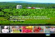 Assessing the Landscape of Local Food in …...ASSESSING THE LANDSCAPE OF LOCAL FOOD IN APPALACHIA c 1“Local foods of Appalachia are treasures of global importance, just as much