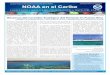 Equipo Regional del Sudeste y el Caribe de la NOAA ... · través de la escorrentía que proviene de tierra adentro, particularmente luego de eventos de lluvia. Además, la región