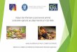 Acţiuni de informare şi promovare privind produsele agricole pe … · 2017-09-27 · Mărcile produselor promovate de organizaţiile care formulează propuneri pot fi vizibile