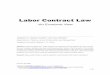 Labor Contract Law - arxiv.org · Labor Contract Law—An Economic View 3 / 24 Introduction: Overall Debates The Labor Contract Law (hereafter referred as the Law) in China is enacted