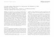 Cytokeratin expression in squamous metaplasia of the human ... O BG... · Cytokeratin expression in squamous metaplasia of the human uterine cervix Orith Gigi-Leitnerl, Benjamin Geiger‘