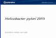 Helicobacter pylori 2019endotoday.com/endotoday02/helicobacter.pdf · 1. 암, 궤양, 단일미란등조직검사의뚜렷한적응증이는 경우는histology를보기위한 조직검사를한다