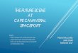 THE FUTURE SCENE AT CAPE CANAVERAL SPACEPORTTHE FUTURE SCENE AT CAPE CANAVERAL SPACEPORT Synopsis: - What’s coming up in the next few years at the Cape. - A look at recent events,