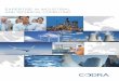 EXPERTISE IN INDUSTRIAL AND TECHNICAL COMPUTING · industrial practices adds to our teams' technical skills: we can inter-vene anywhere and in any environ-ment. Codra is committed