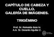 CAPÍTULO DE CABEZA Y CUELLO. GALERÍA DE IMÁGENES. …#769;MINO 2.0.pdf · Vista lateral derecha del nervio cuerda del tímpano y lingual, una vez retirado el músculo pterigoideo