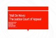 Trial De Novo: The Justice Court of Appeal...Trial De Novo: The Justice Court of Appeal Judge Ann-Marie Carruth 904 Broadway, 4 th Floor P.O. Box 10536 Lubbock, Texas 79408 Office