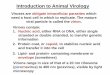 Introduction to Animal Virology...Introduction to Animal Virology Viruses are obligate intracellular parasites which need a host cell in which to replicate. The mature viral particle