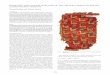 DYESTUFF AND COLOUR ANALYSES OF THE SELJUK CARPETS … 2010 Istanbul Dyestuff and... · under Seljuk rule in the first half of the thirteenth century on the Anatolian peninsula. They