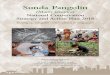 (Manis javanica) National Conservation Strategy …...2 Sunda Pangolin National Conservation Strategy and Action Plan 2018 Foreword Pangolins are the world’s most trafficked mammals