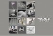 Innovation is the foundation of our Company, - Adler Ortho · Adler Ortho® is an Italian Company totally devoted to development, manufacturing and marketing of surgical medical devices